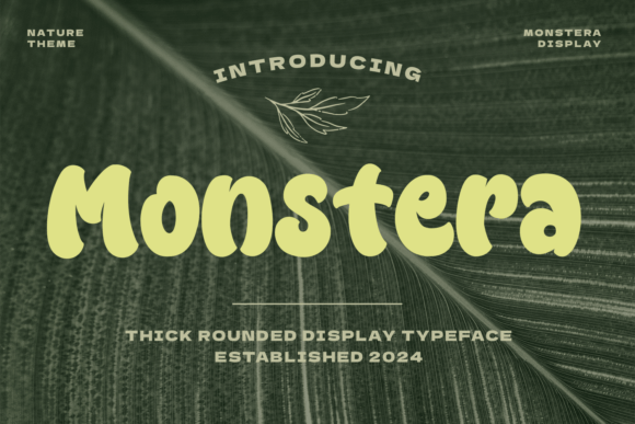 Monstera: The Playful Display Font for Bold Branding